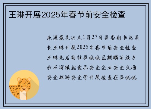 王琳开展2025年春节前安全检查